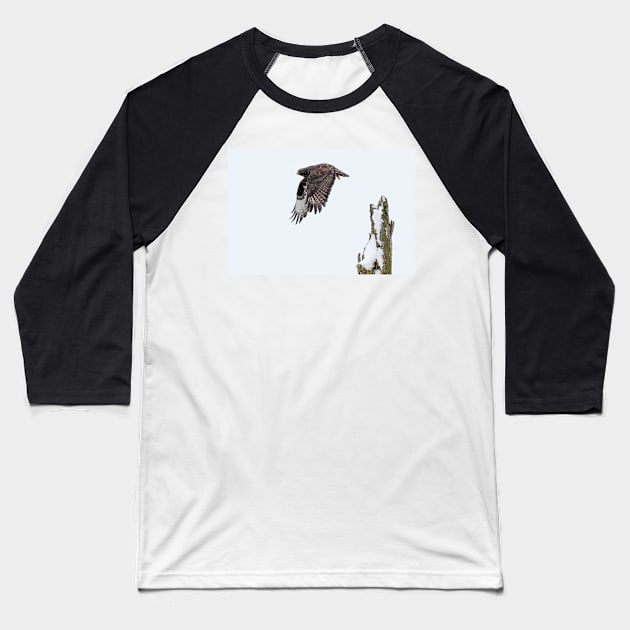 Rough-legged Hawk Baseball T-Shirt by Jim Cumming